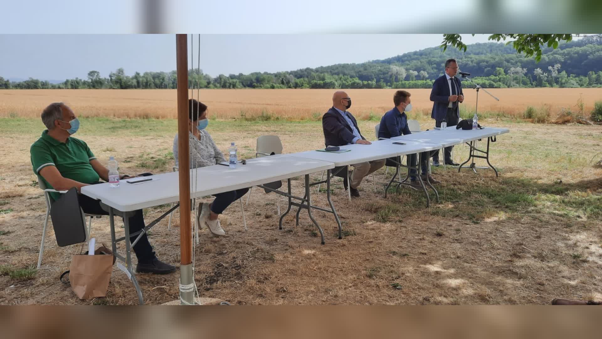 Coltivazione nocciolo: incontro Regione-Fondazione istruzione agraria