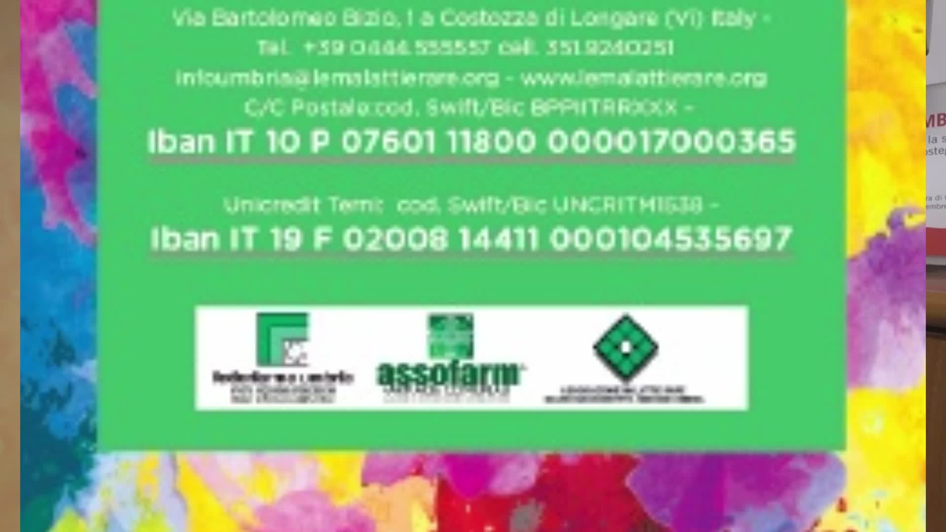 O la borsa o la vita”: raccolti 3500 euro - Umbria TV