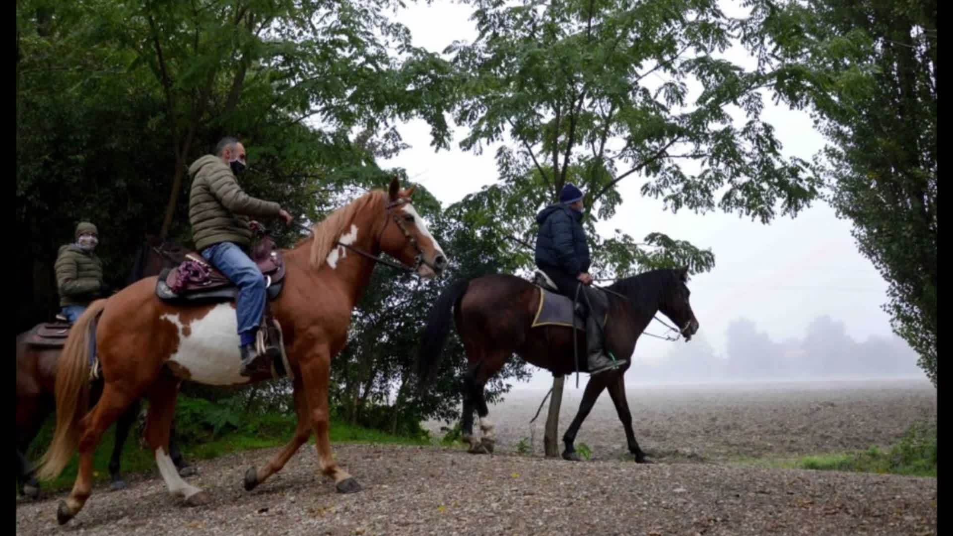 Mostra Nazionale Cavallo rinviata al 2022 per Covid