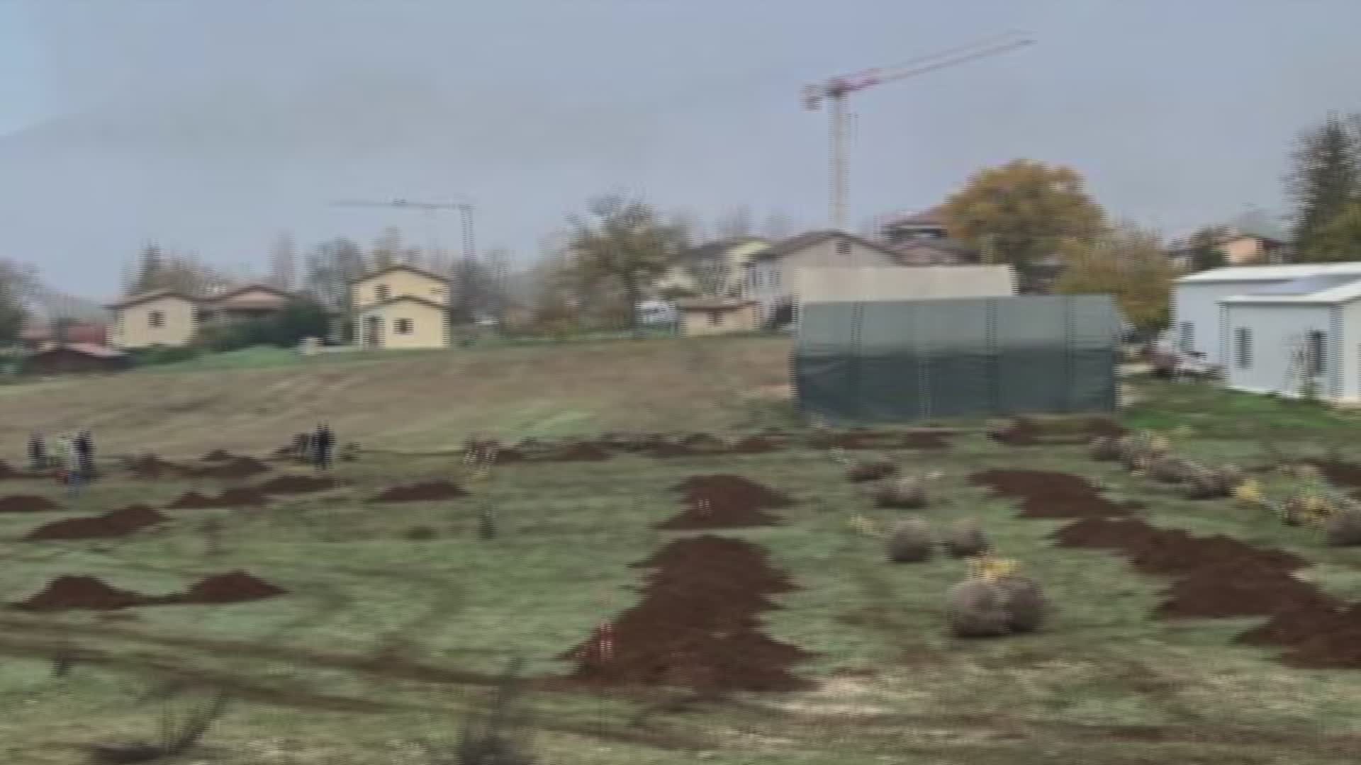 "Back to Campi": piantati 101 alberi all’insegna della ripartenza