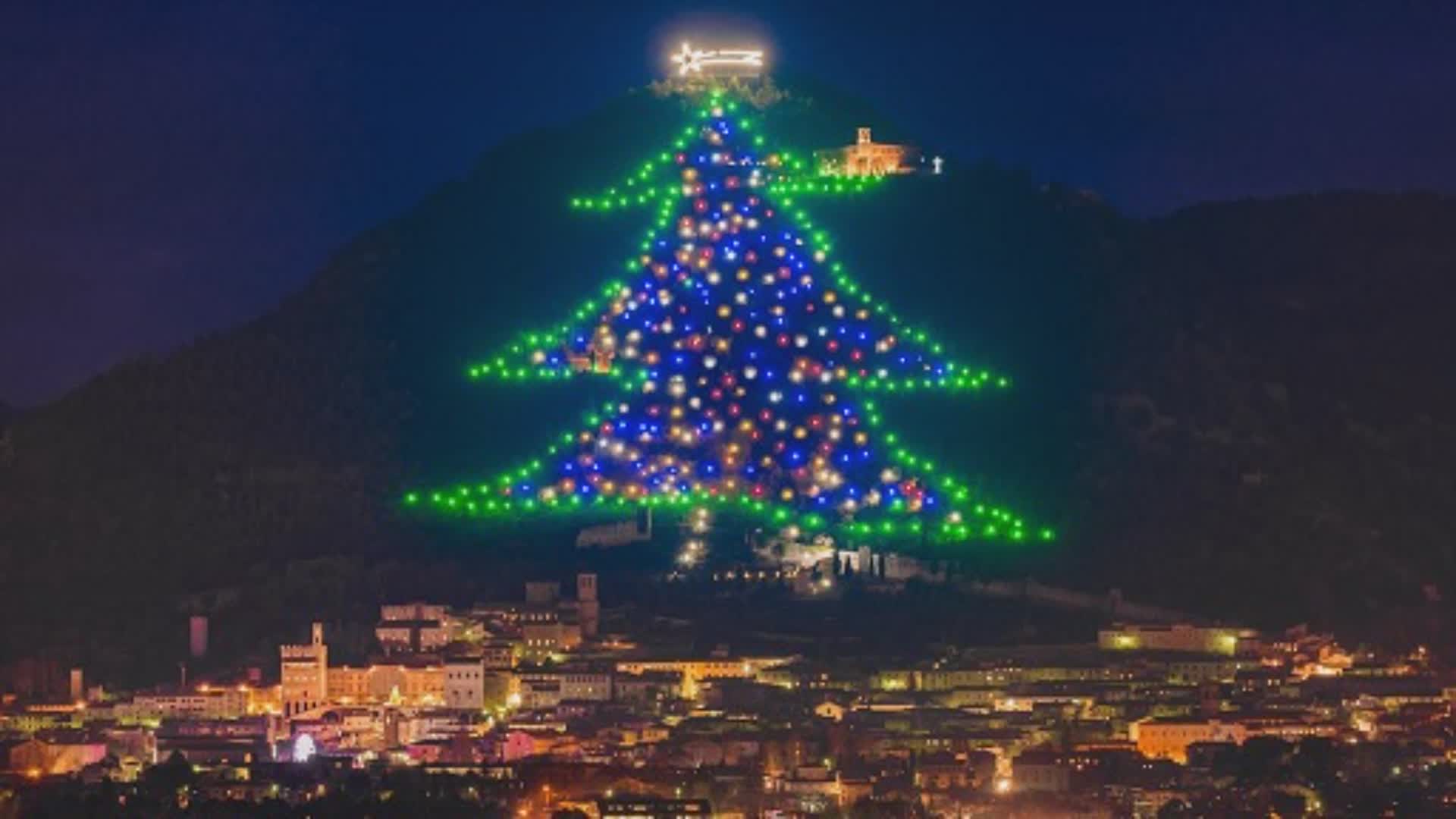 Domani si accende l’Albero di Natale più grande del mondo