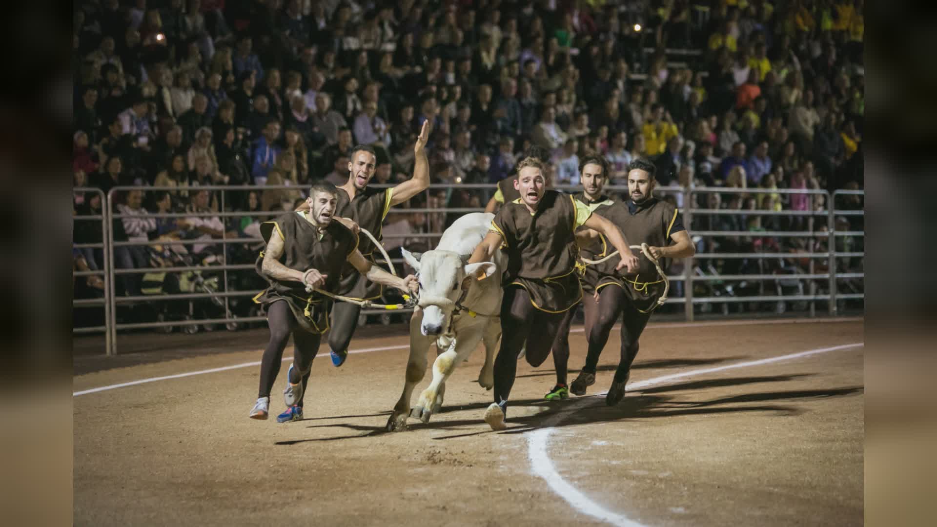 Stasera torna di scena "La Fuga del Bove" alla 5oma edizione