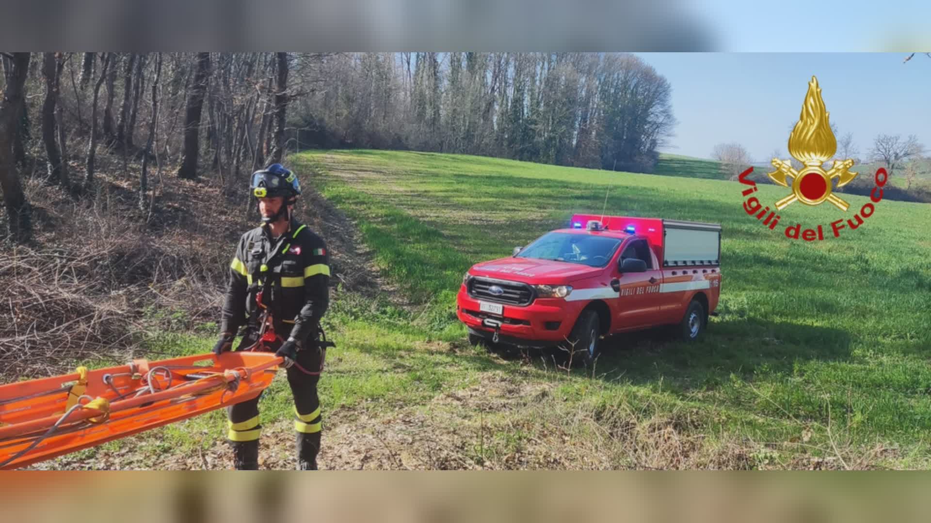 Ritrovato in un bosco corpo senza vita di un 83enne