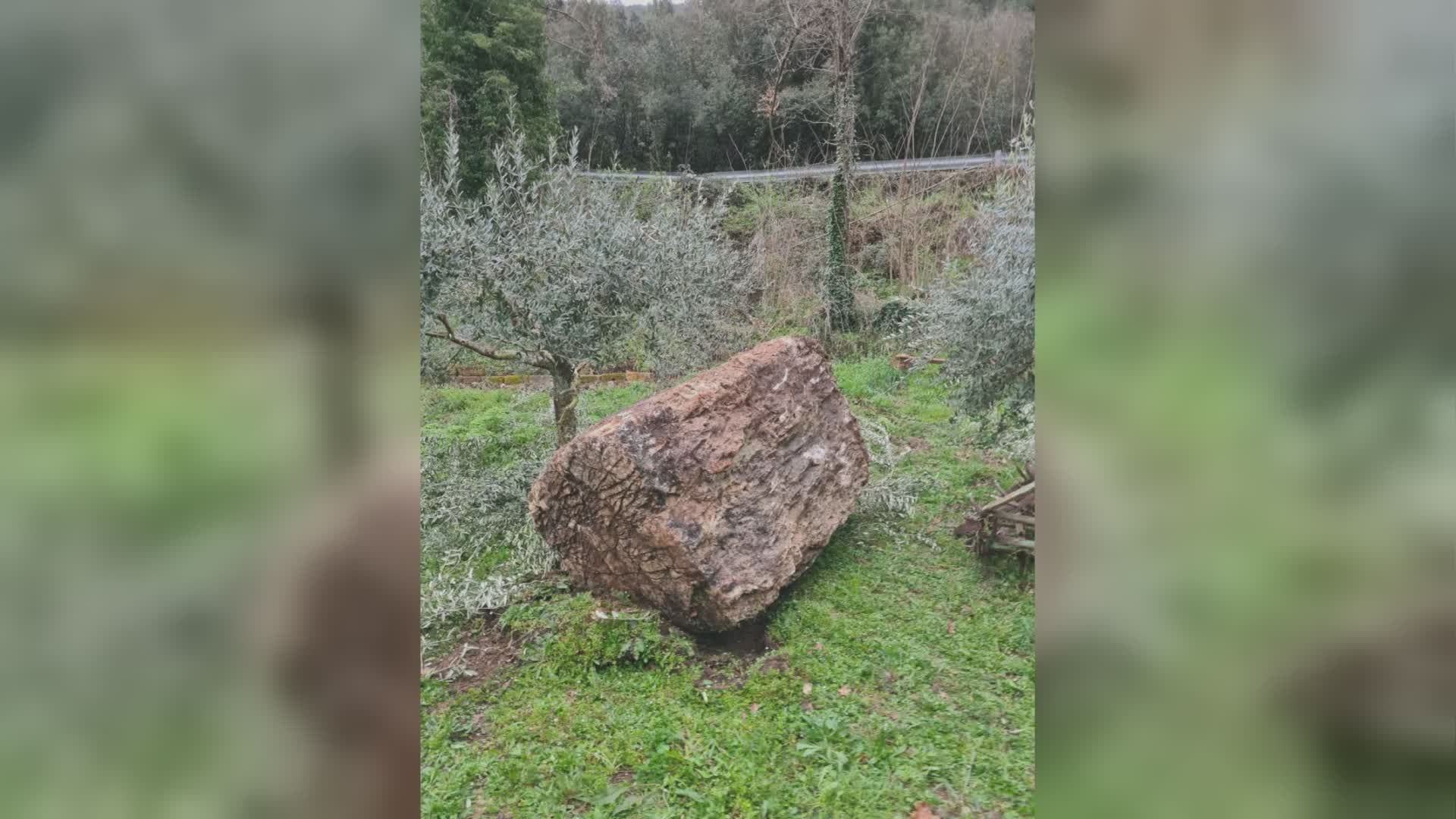 Masso caduto fra Marmore e Piediluco, cominciati i lavori sul costone