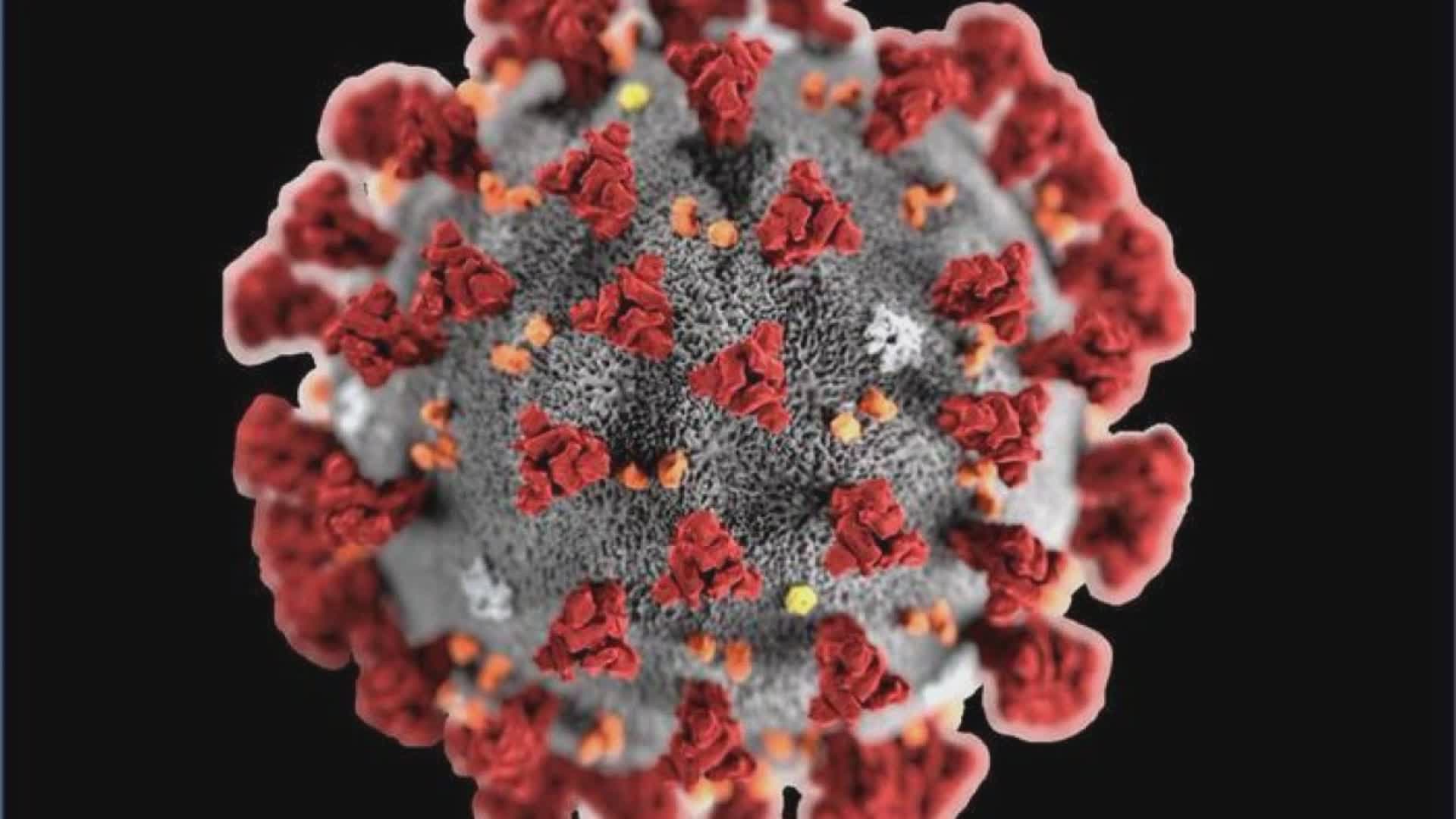 Coronavirus, tre nuovi casi e quattro guariti in Umbria
