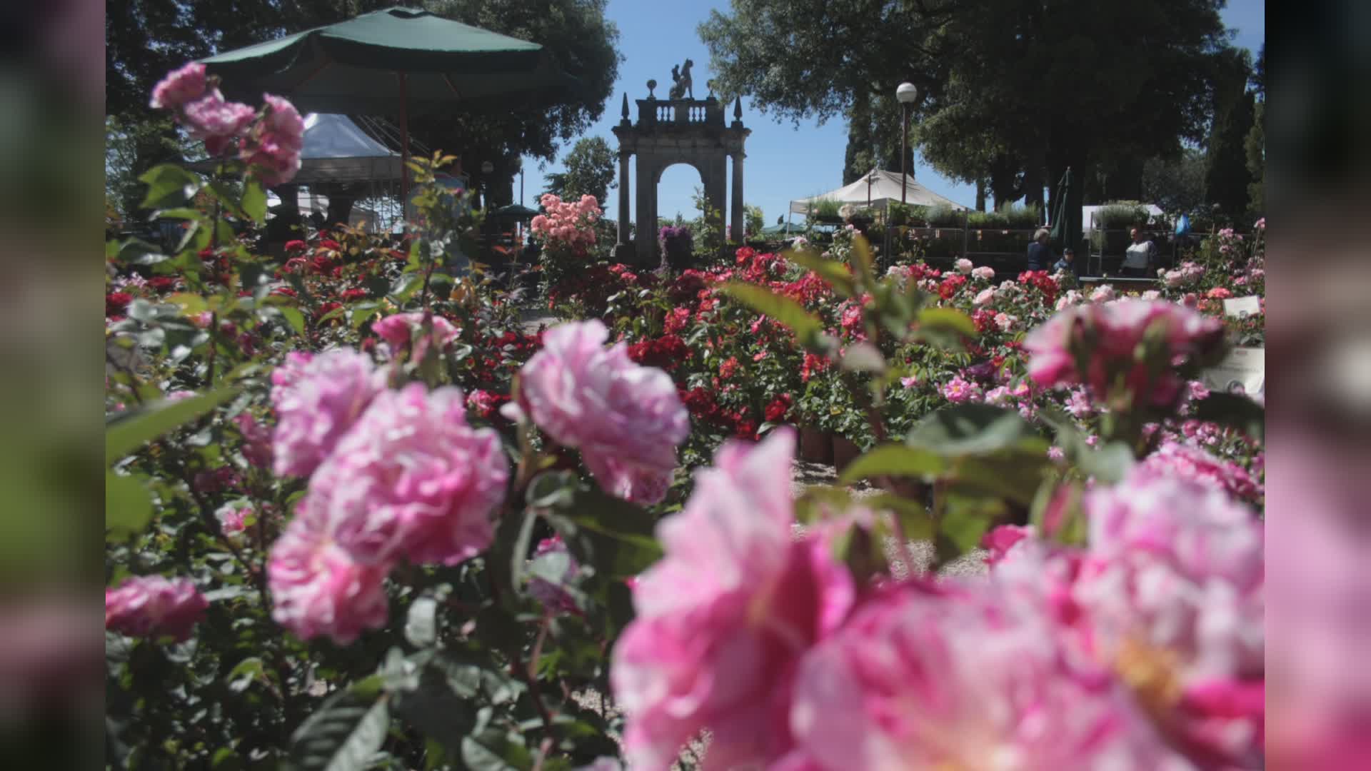 Perugia Flower Show, dal 18 al 20 settembre