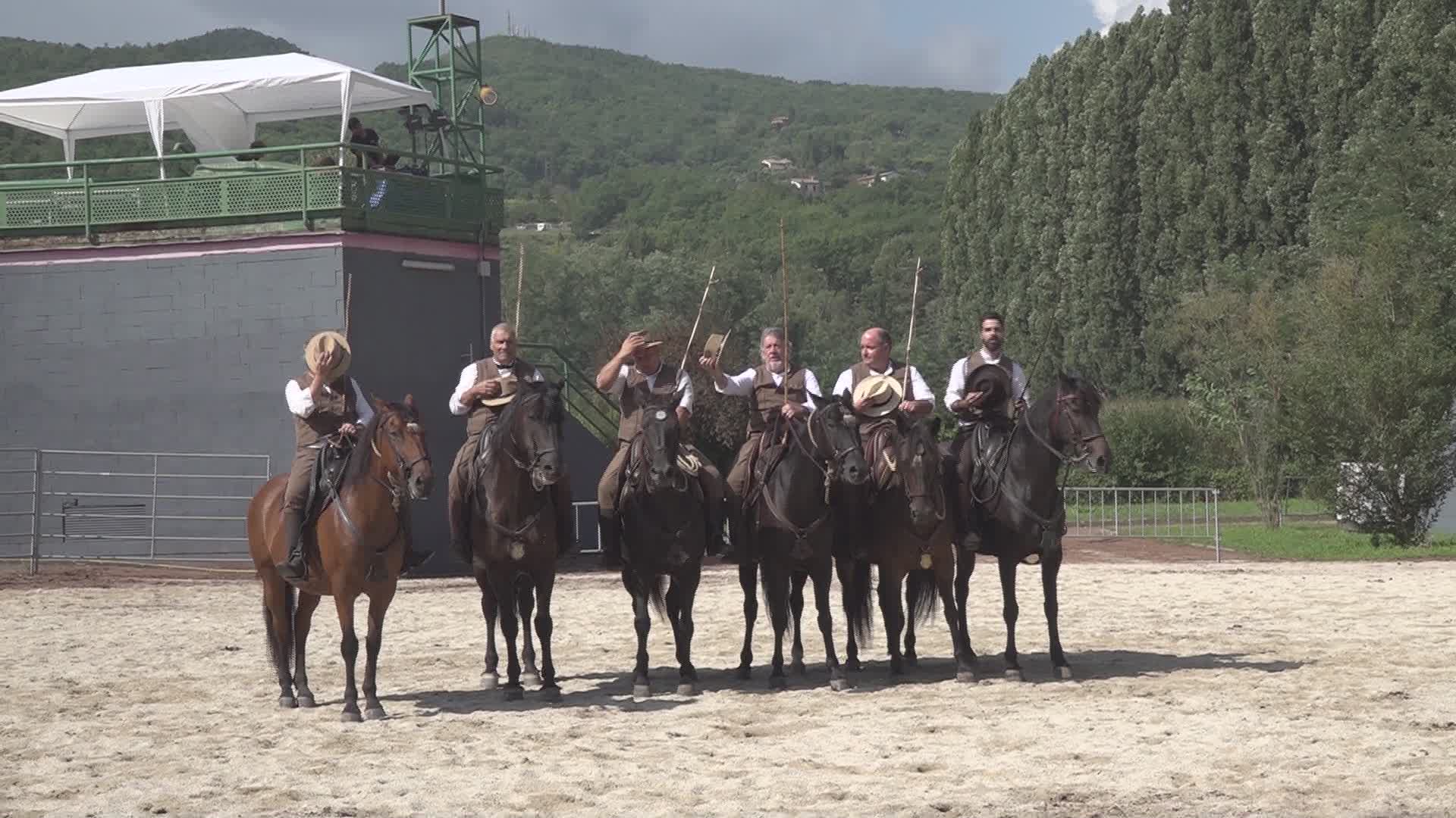 Trekking equestre al posto della Mostra del Cavallo