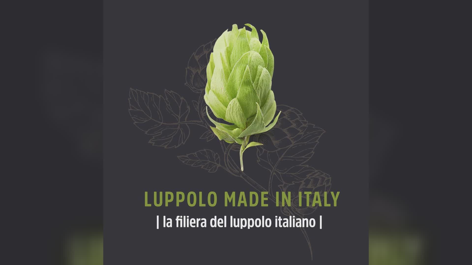 Il luppolo Made in Italy, il webinar di Rete di imprese