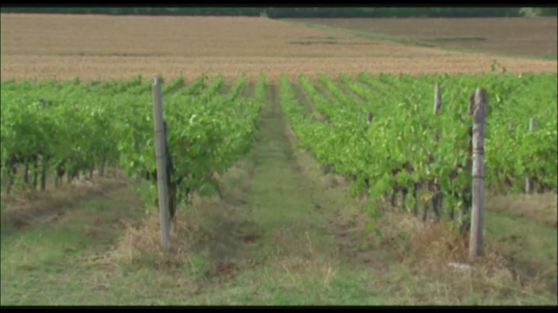 Confagricoltura: "Chiusure bar e ristoranti ci mettono ko"