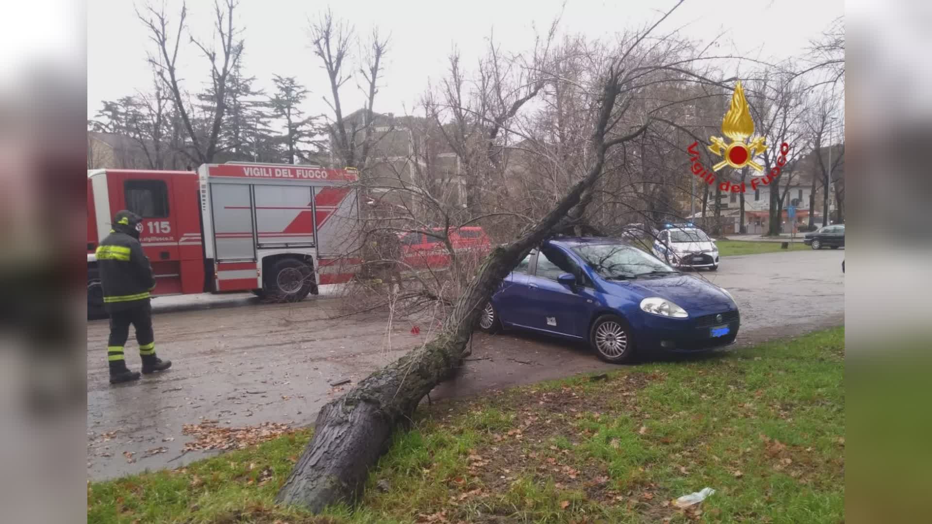 Maltempo, albero cade sopra auto. Nessun ferito