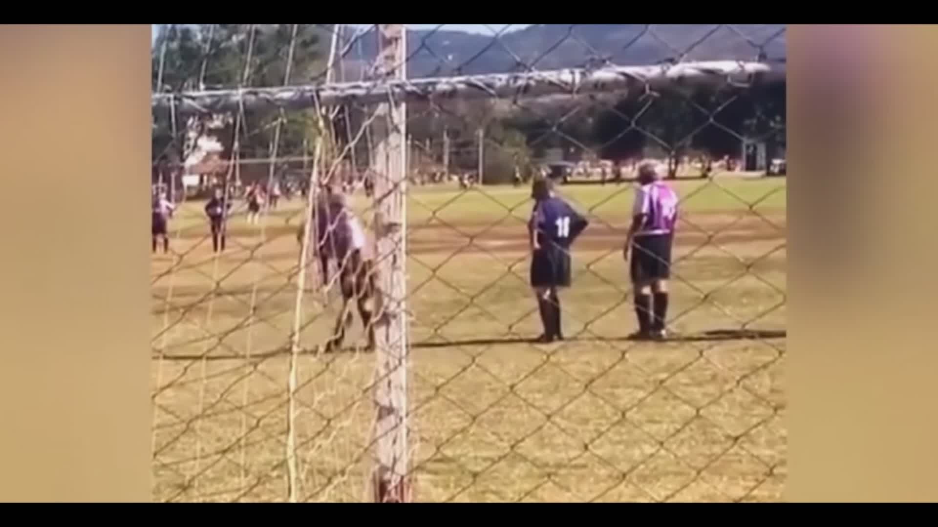 Impianti sportivi, campi da calcio e…campus estivi