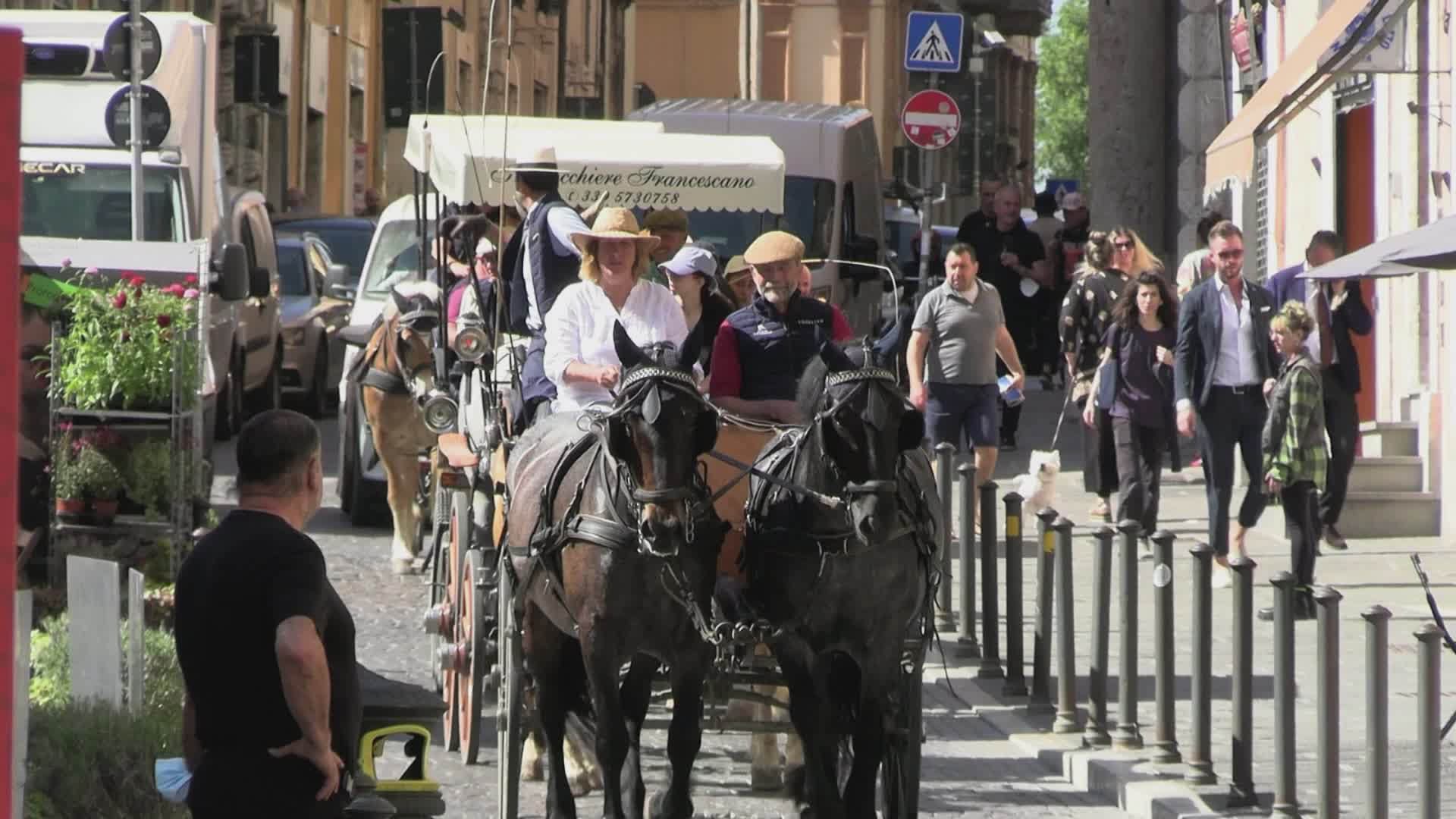 Da mercoledì torna Paradriving, per superare la disabilità a cavallo