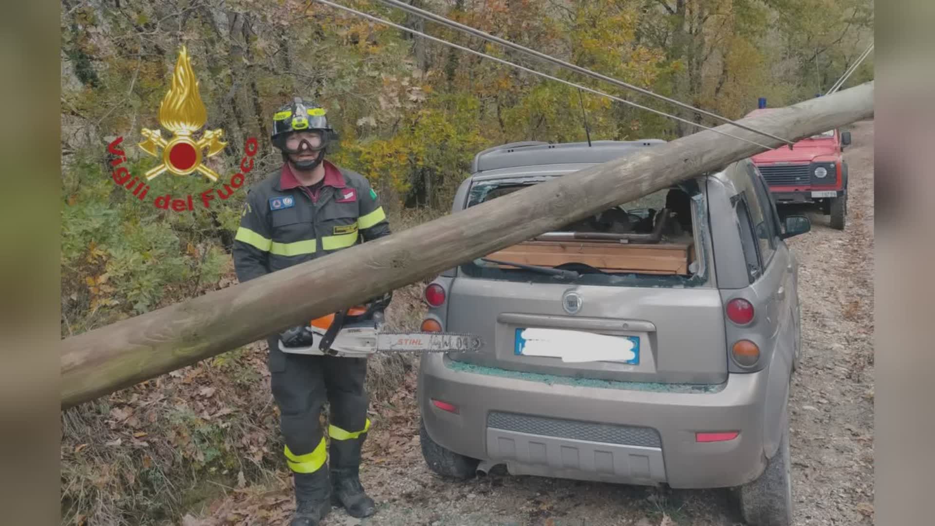 Palo Telecom cade su un’auto: nessun ferito