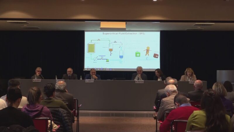 ‘Traiettorie innovative’: Fondazione Perugia su filiera vitivinicola