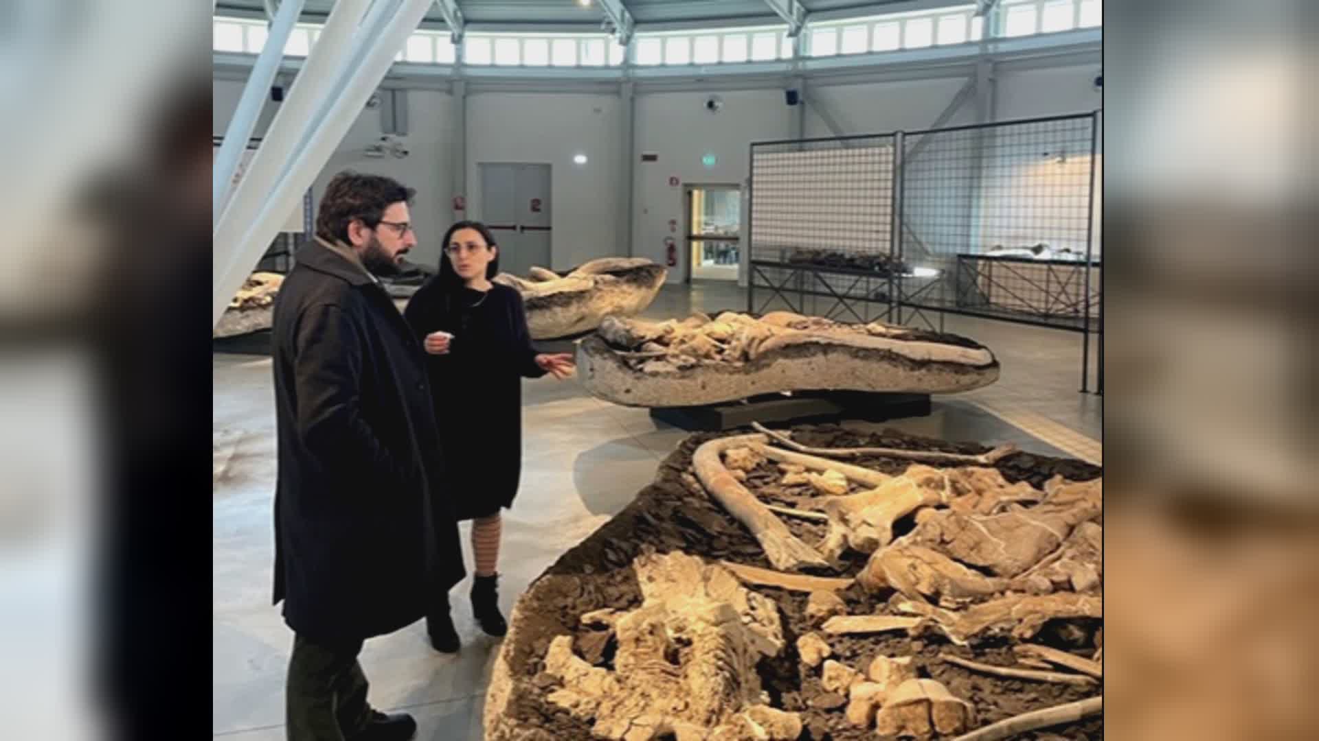 D’Orazio visita miniera Enel, futuro museo