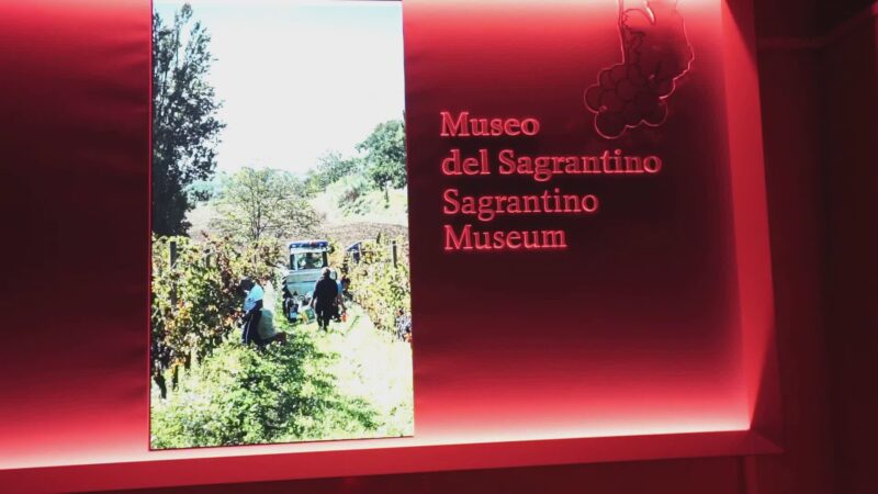 Inaugurato il Museo del Sagrantino