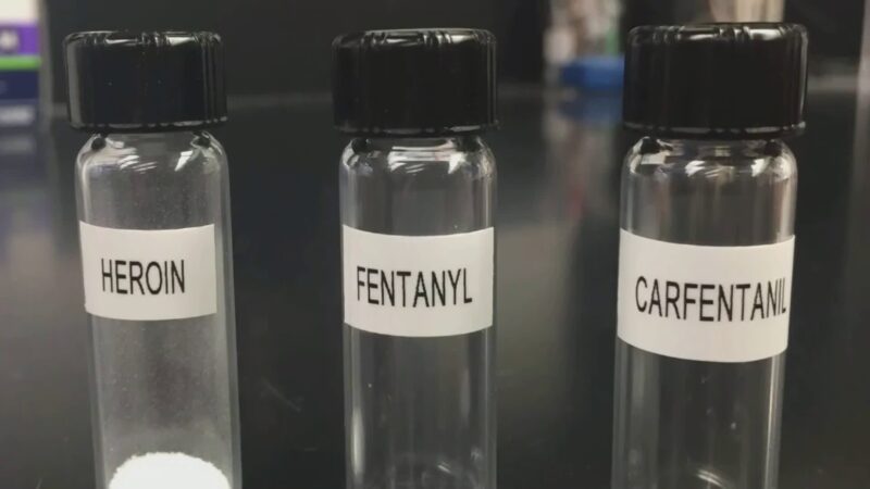 Scatta allerta Fentanyl. ISS conferma analisi in eroina sequestrata
