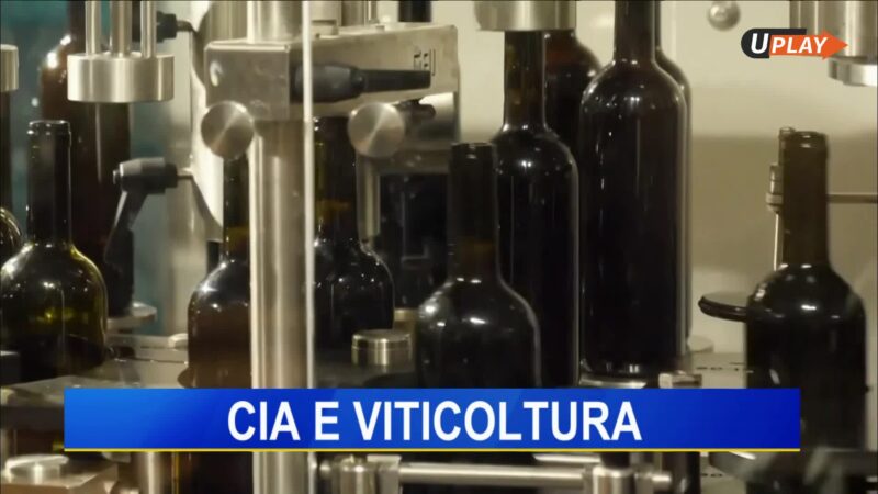 Telegiornale dell’Umbria [Sera]