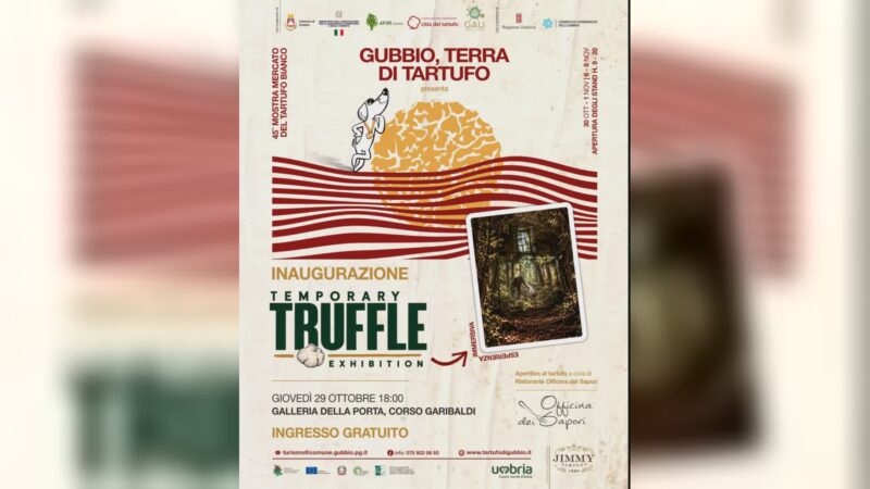 Giovedì anteprima Mostra tartufo con Temporary Truffle Exhibition